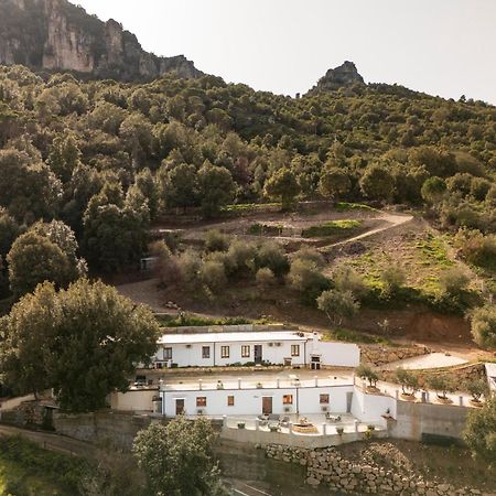 Вілла Casa Jerzu S'Essia De Su Santu Екстер'єр фото